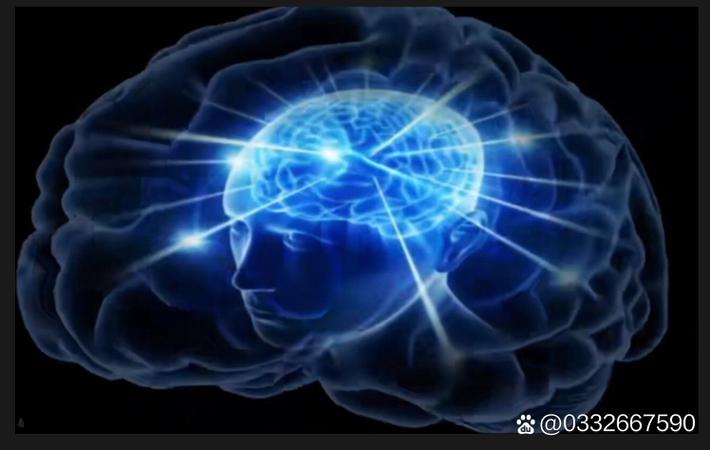 某古装剧剧组被曝片酬分配不公,配角演员集体抗议 某古装剧剧组被曝片酬分配不公,配角演员集体抗议
